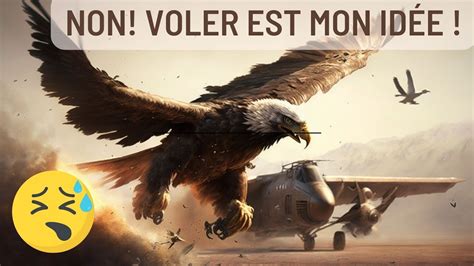 Aigles de la République 2025